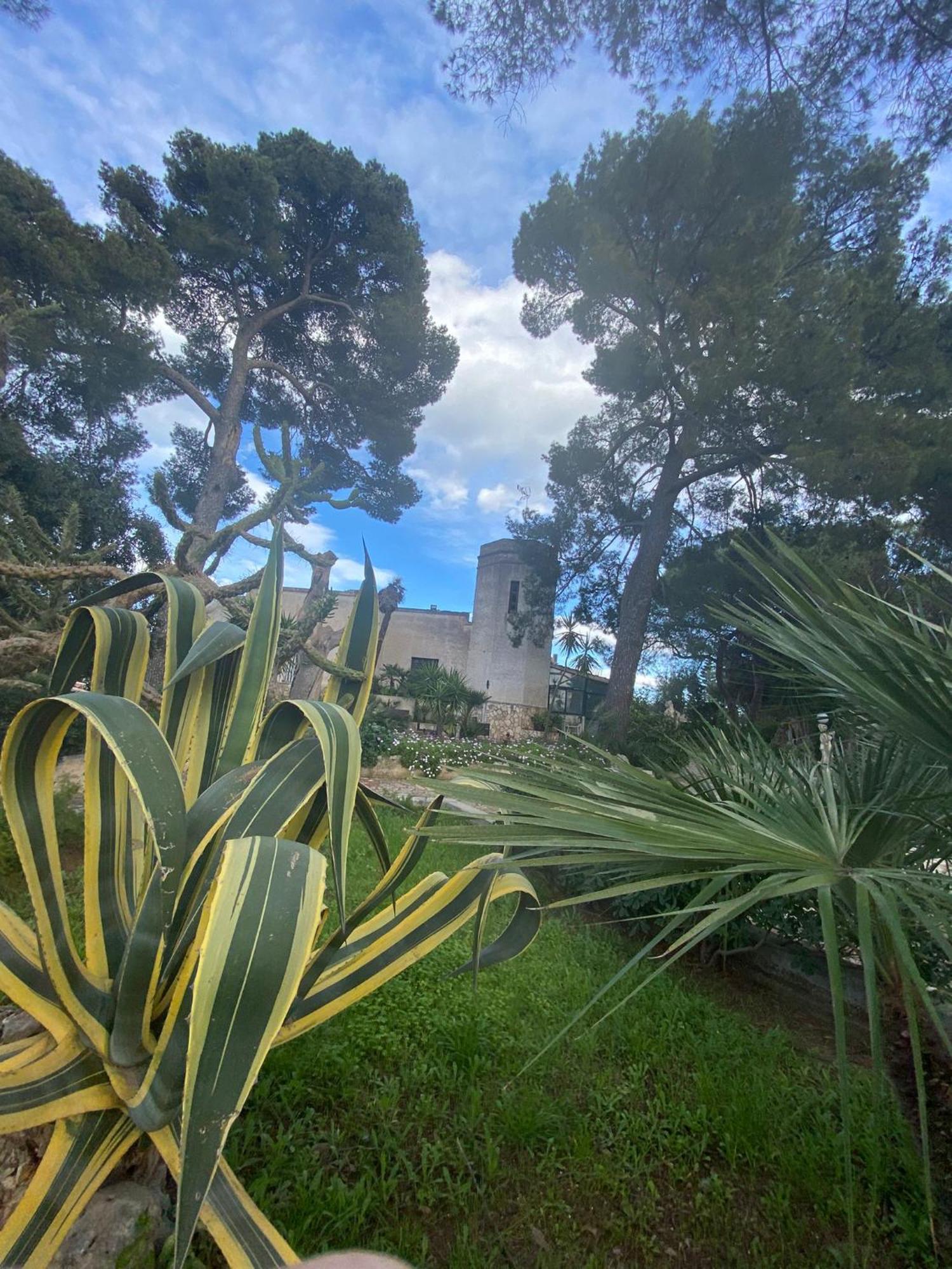 Villa Torre Del Sole Bari Exterior foto